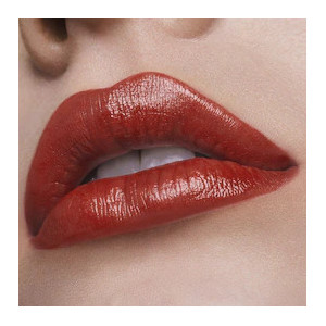 Pure Color Hi-Lustre - Lippenstift - volle Deckkraft - glänzendes Finish